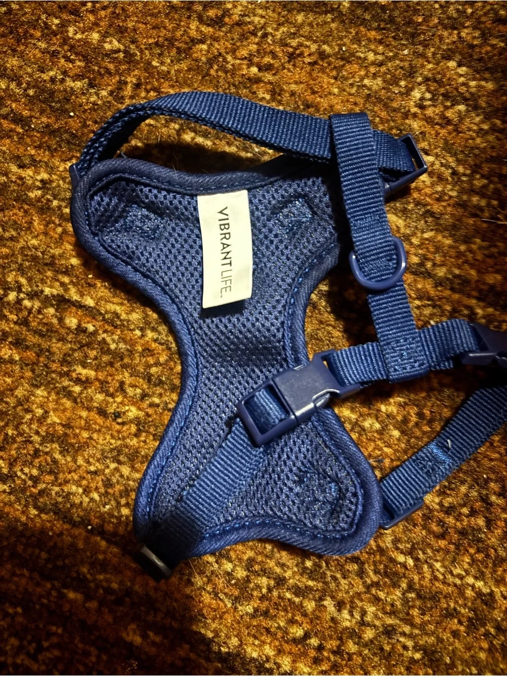 Cat Harness with Night Sky Print - Navy Star & Moon